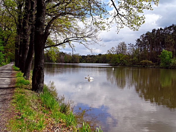 Prostřední rybník