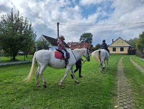 Projížďky na koni