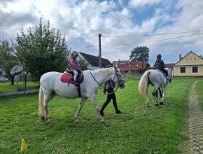 Projížďky na koni
