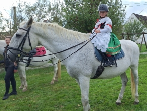 Projížďky na koni