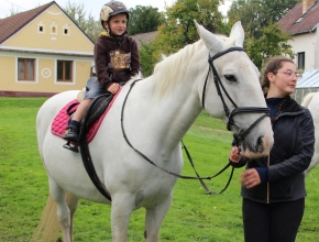 Projížďky na koni