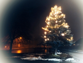 Vánoční strom na návsi